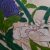 美しいお花です…菖蒲の鉢